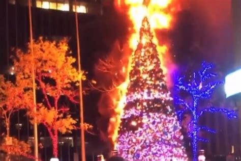 N­e­w­ ­Y­o­r­k­­t­a­ ­N­o­e­l­ ­a­ğ­a­c­ı­ ­y­a­k­ı­l­d­ı­